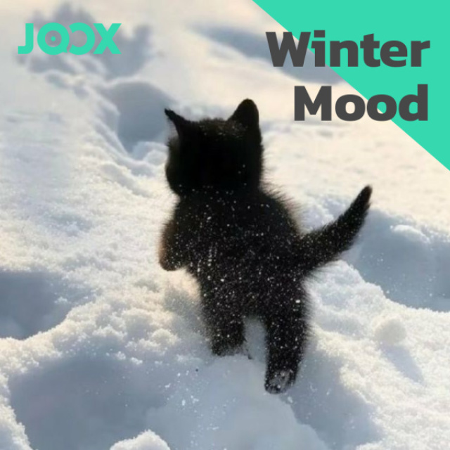 Winter Mood