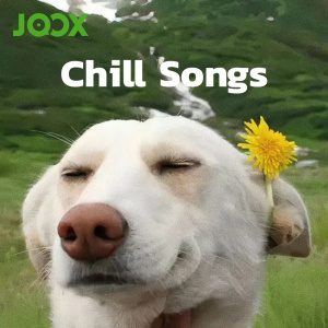 เพลย์ลิสต์ใหม่ Chill Songs