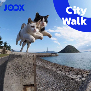 เพลย์ลิสต์ใหม่ City Walk